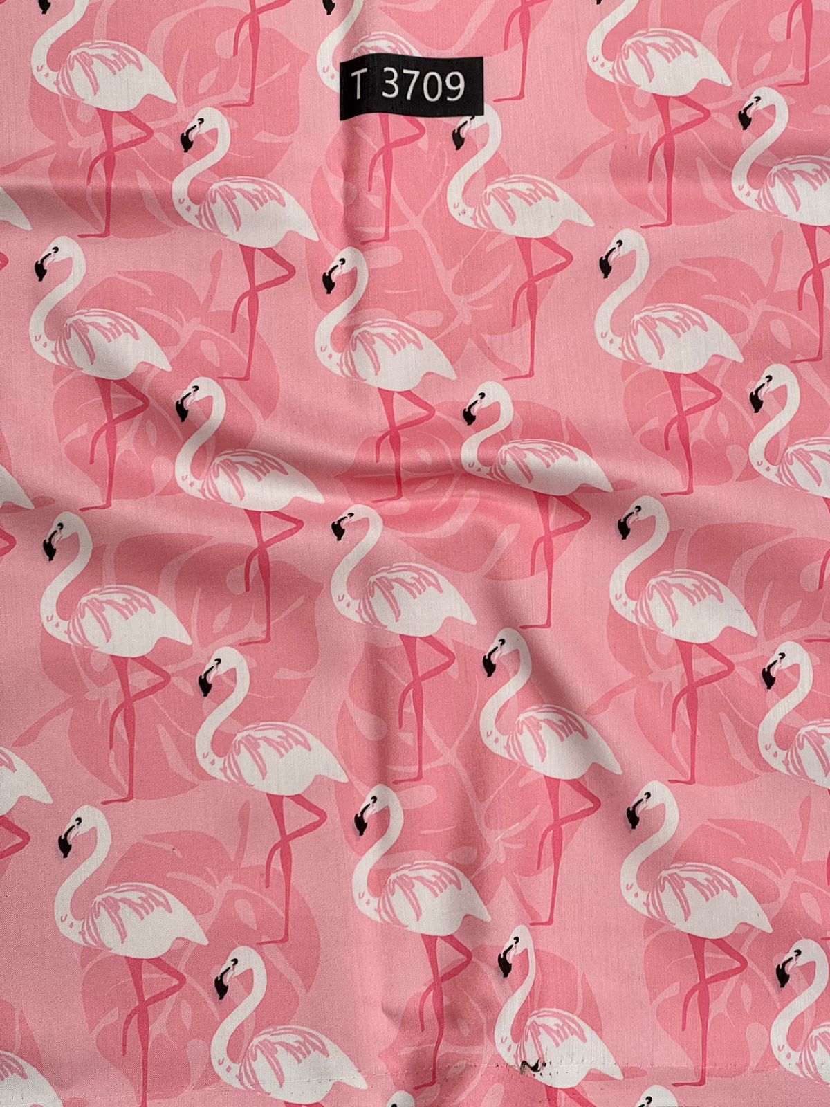 Kids Print on Muslin