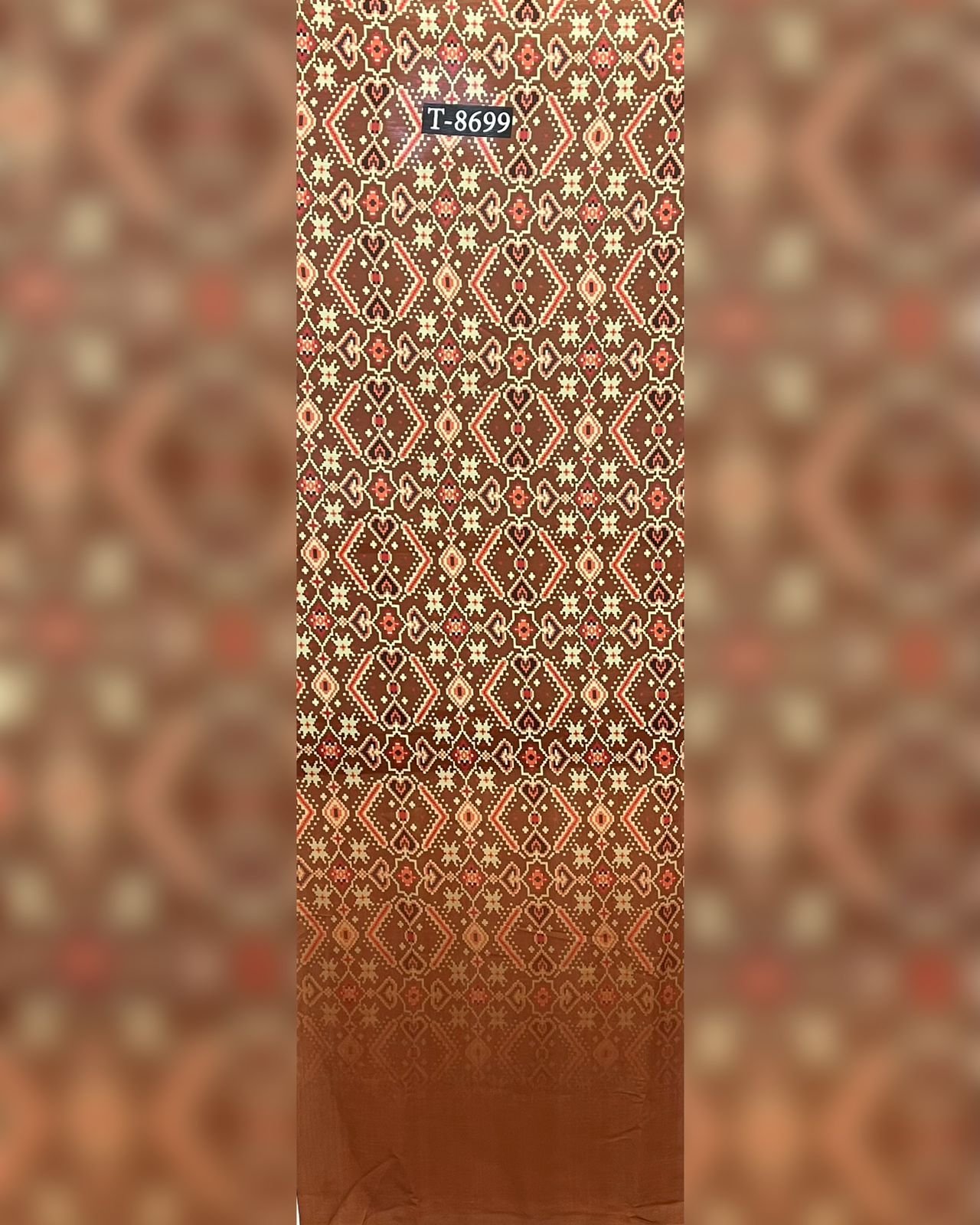 PATOLA PRINTS WITH BORDER ON CHIFFON