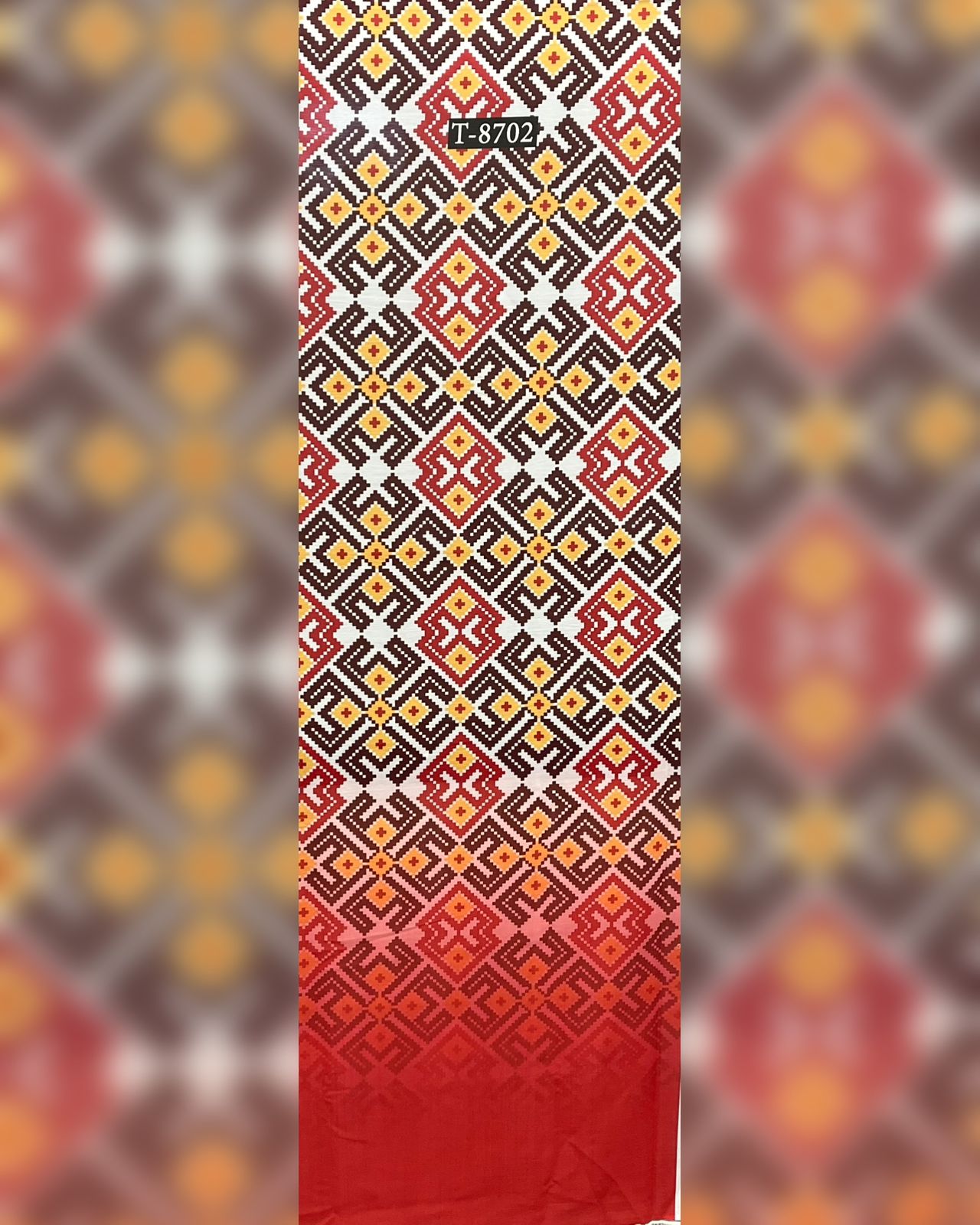PATOLA PRINTS WITH BORDER ON CHIFFON