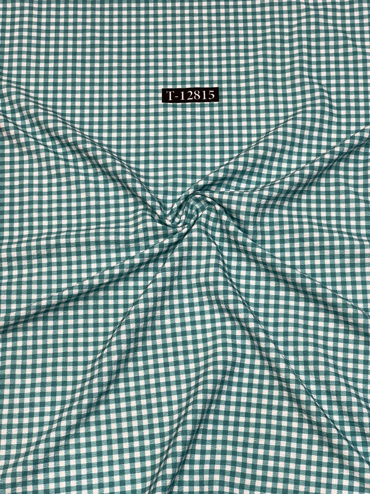Textured Checks Print On Lyra Fabric